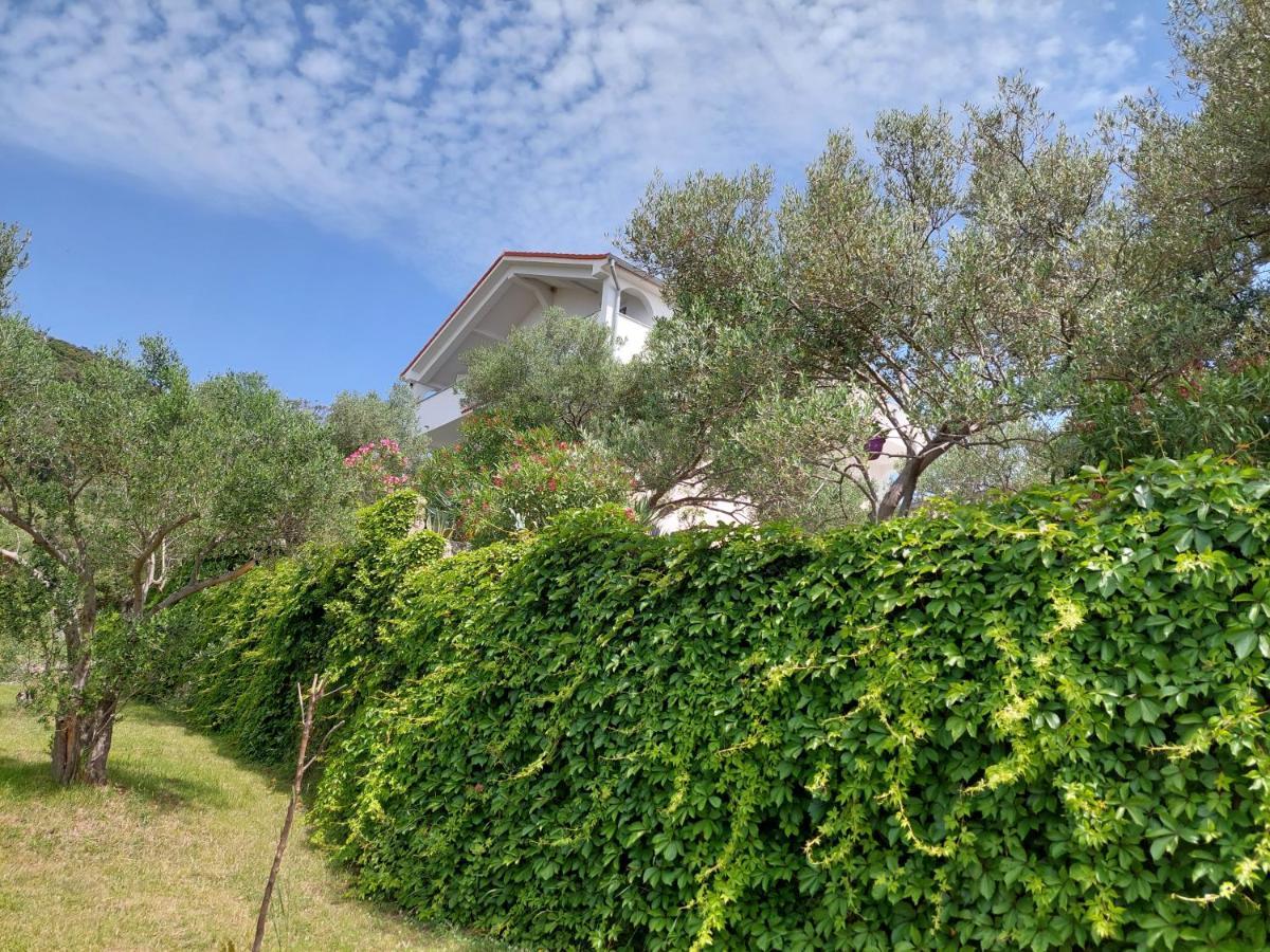 Apartman Zorka