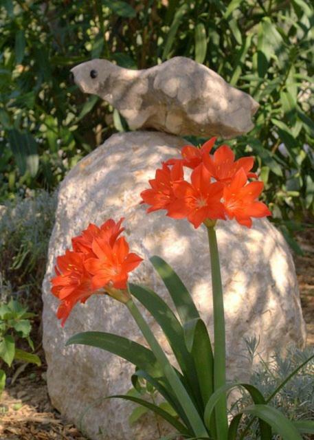 Zorka