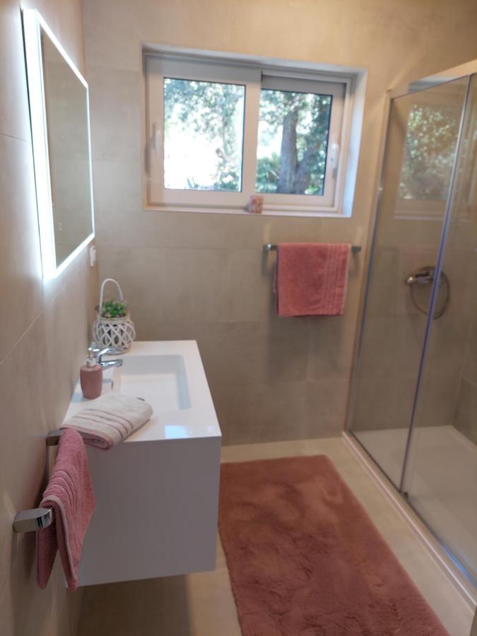 Apartment Zorka