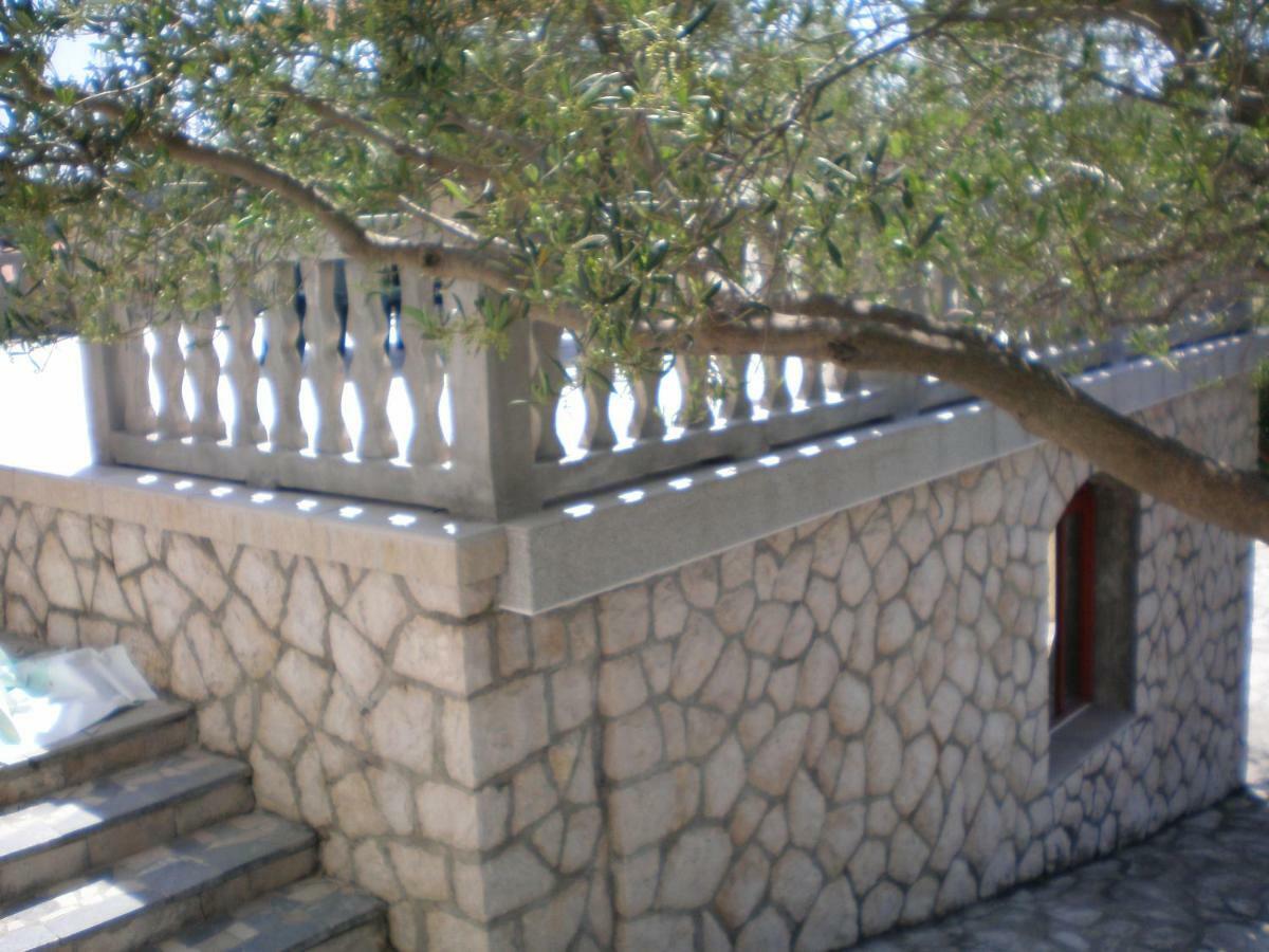 Apartment Zorka *